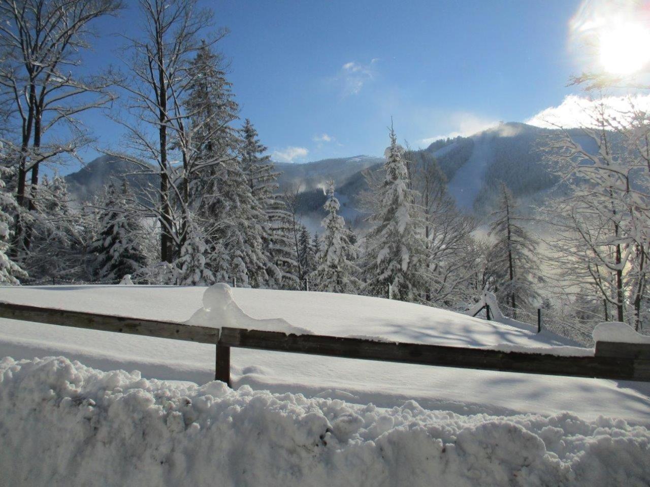 Semmering Villa Sonnenschein Exterior photo